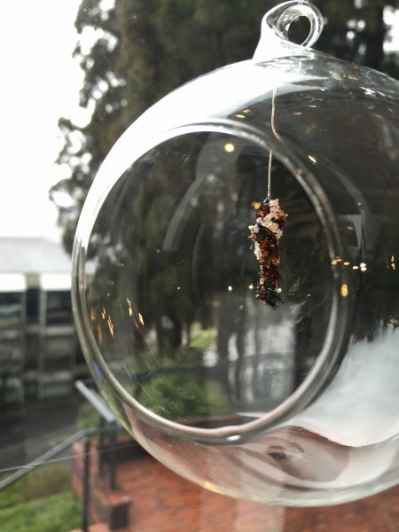 20150226-写真 2015-02-26 11 29 39.jpg